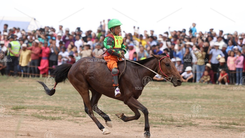  Дүүгүүр хээр