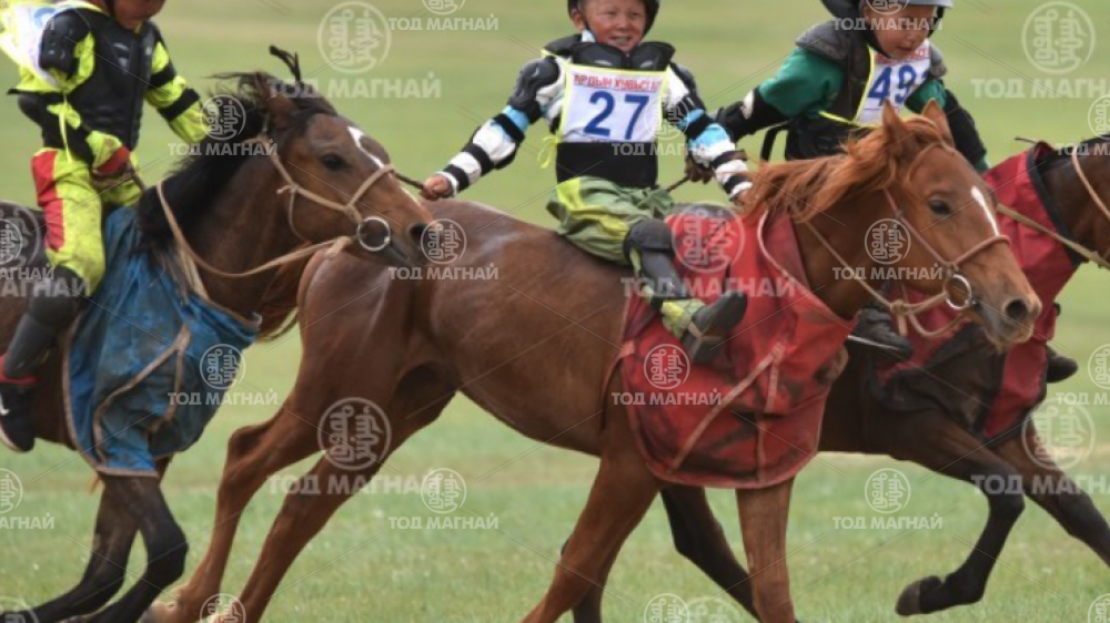  Хүрэн халзан