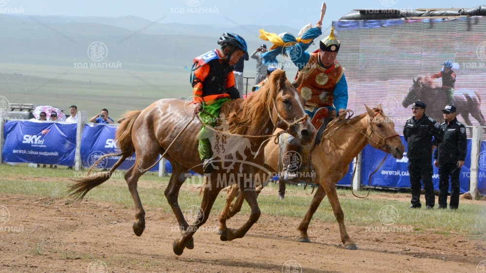  Хонгор халзан