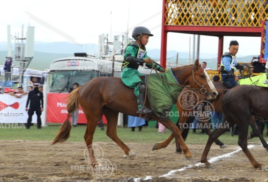  Зээрд халзан