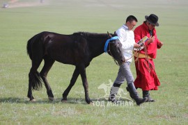 Эзэндээ итгэл төрүүлсэн, хурдан ажнай