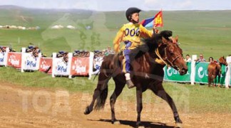 Д.Пүрэвдорж: Монгол хээрийгээ зөв эзэндээ очиж гэж баярладаг