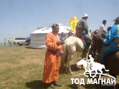 Ардын хувьсгалын их ойд ахиад битүү морь түрүүлгэнэ хэмээн бодлоон тунгаан сууна